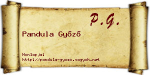 Pandula Győző névjegykártya